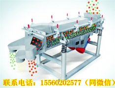 湖南王總需要的DZSF直線振動篩今天發(fā)貨！